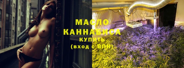 амф Верхний Тагил