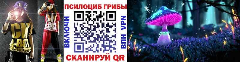 Псилоцибиновые грибы мицелий  Купить где  Ельня 